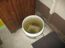 Picture of Ports Soaking